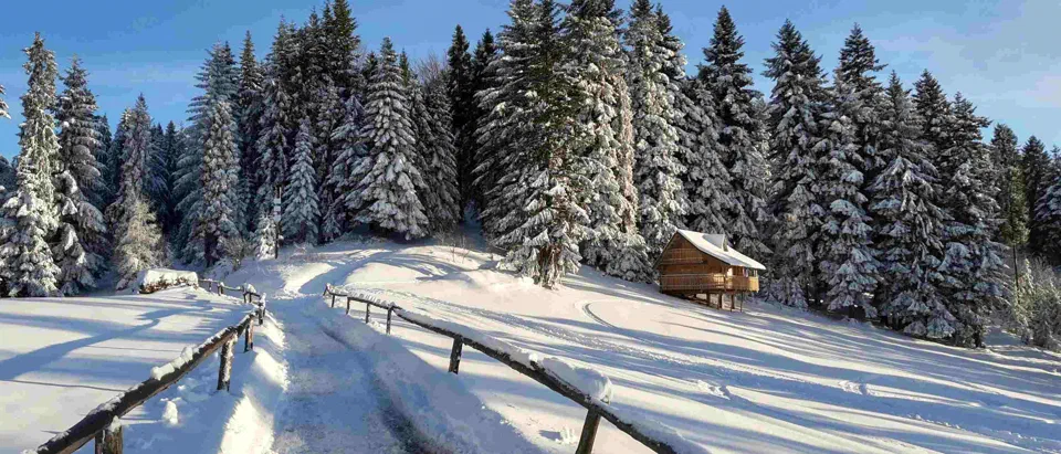 Turbacz 30.12.2019r – zdjęcie 180