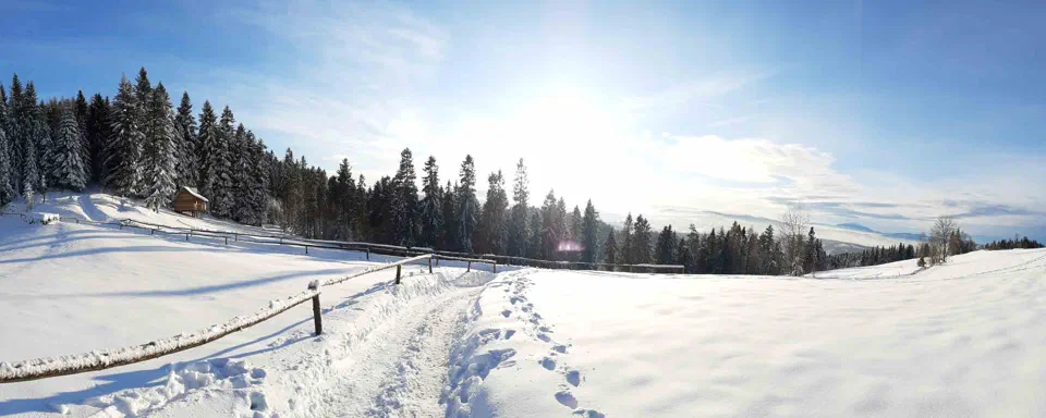 Turbacz 30.12.2019r – zdjęcie 182