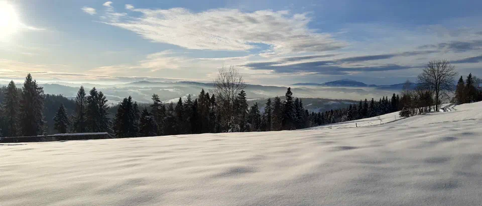 Turbacz 30.12.2019r – zdjęcie 184