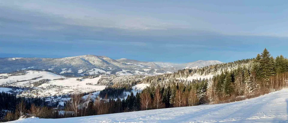 Turbacz 30.12.2019r – zdjęcie 198