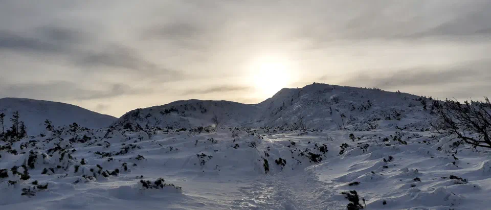 Babia Góra 02-01-2020r – zdjęcie 6