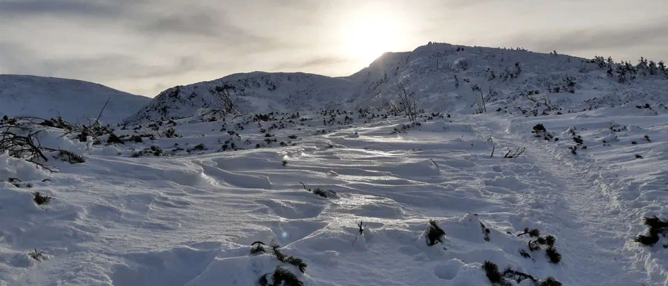 Babia Góra 02-01-2020r – zdjęcie 8