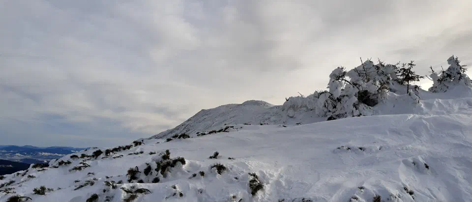 Babia Góra 02-01-2020r – zdjęcie 11