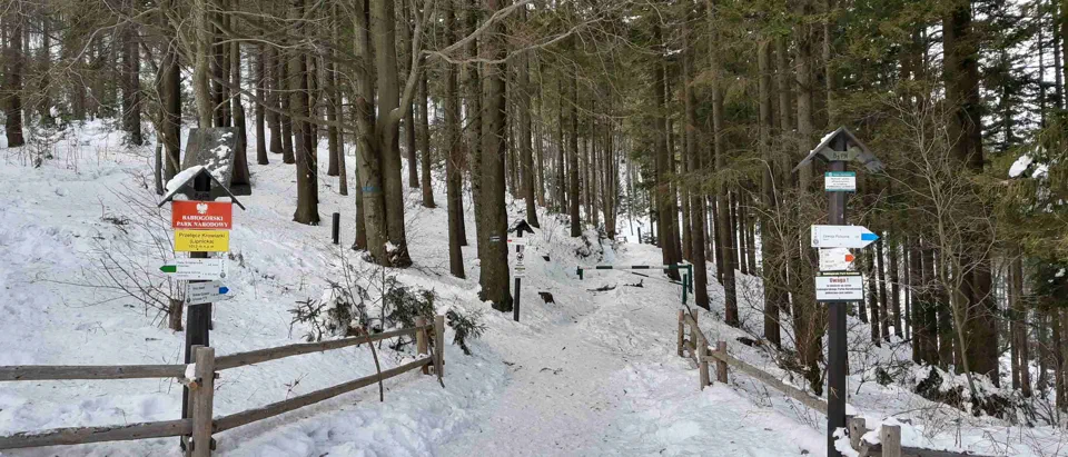 Babia Góra 02-01-2020r – zdjęcie 117