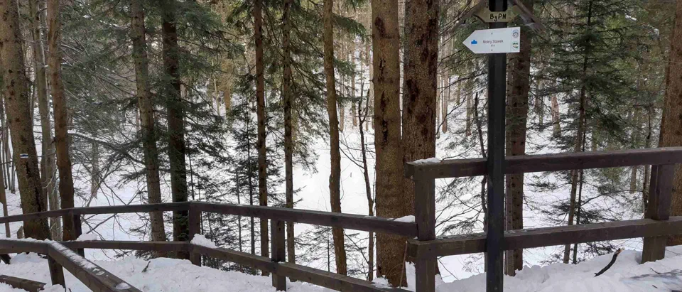Babia Góra 02-01-2020r – zdjęcie 119