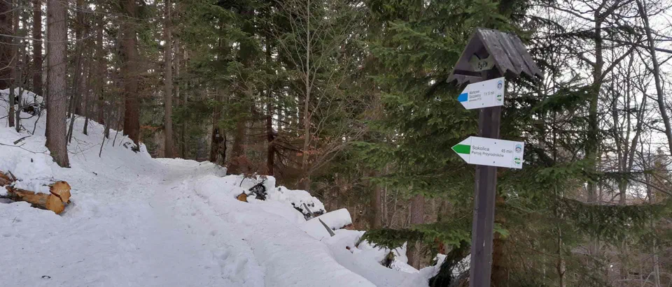 Babia Góra 02-01-2020r – zdjęcie 120