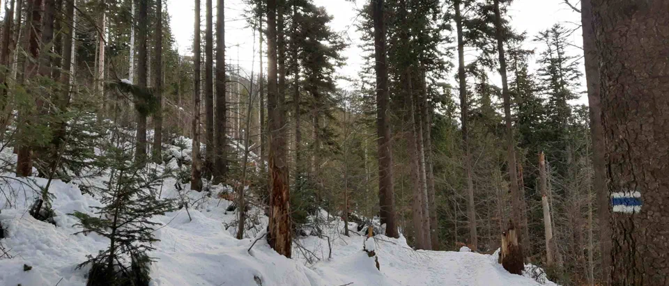 Babia Góra 02-01-2020r – zdjęcie 121