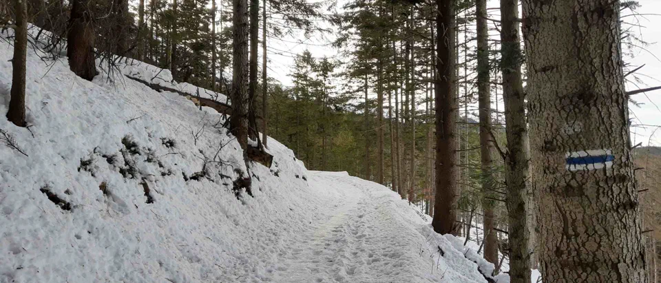 Babia Góra 02-01-2020r – zdjęcie 122