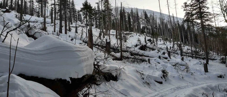 Babia Góra 02-01-2020r – zdjęcie 125