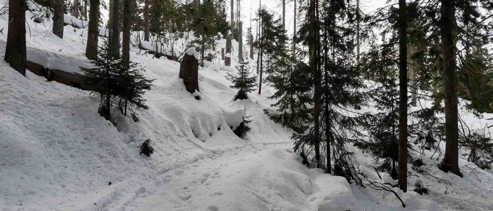 Babia Góra 02-01-2020r – zdjęcie 126