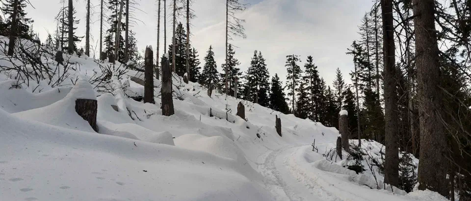 Babia Góra 02-01-2020r – zdjęcie 127