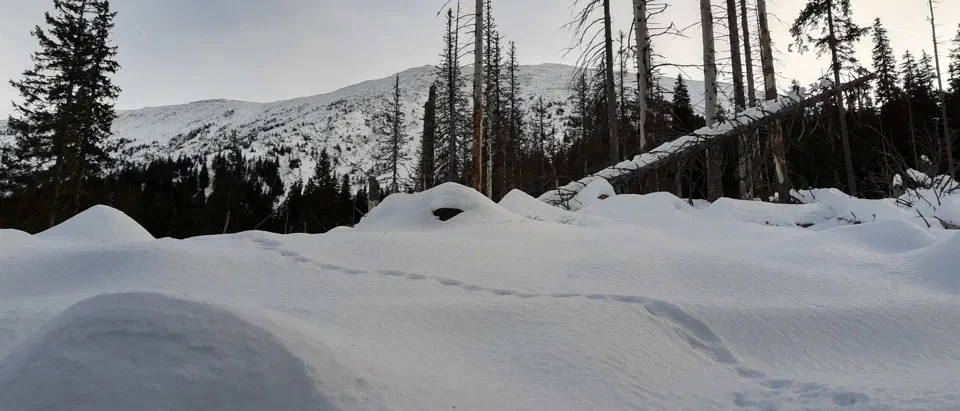 Babia Góra 02-01-2020r – zdjęcie 128