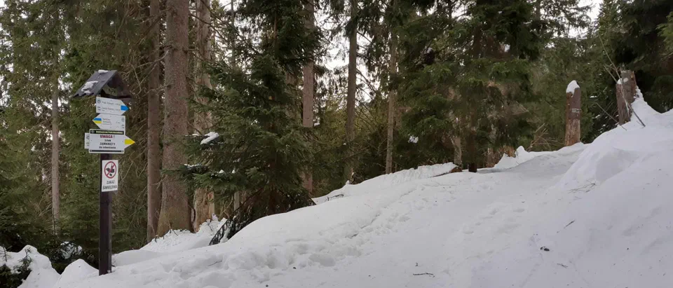 Babia Góra 02-01-2020r – zdjęcie 130