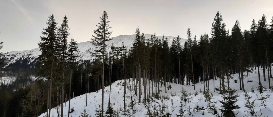 Babia Góra 02-01-2020r – zdjęcie 135