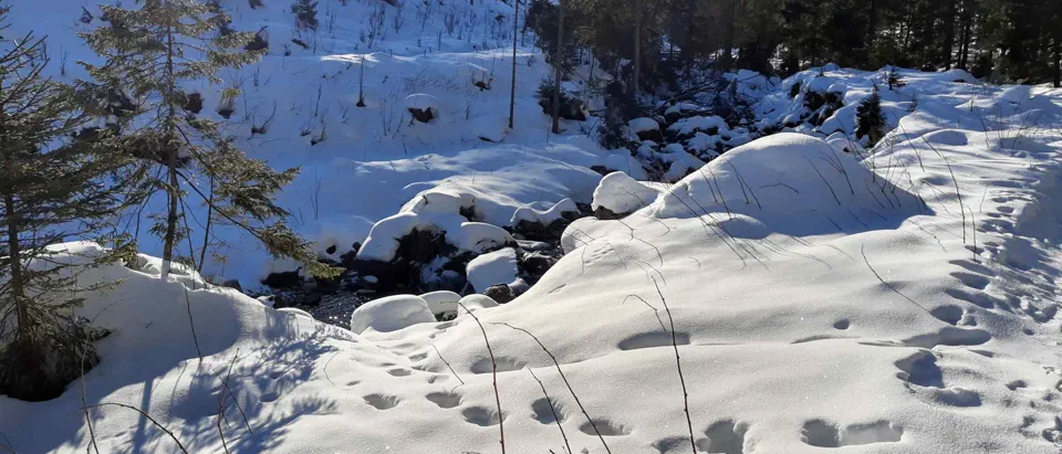 Tatry 24.01.2020r. – zdjęcie 2
